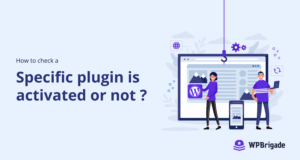 How to check if a plugin is activated or not