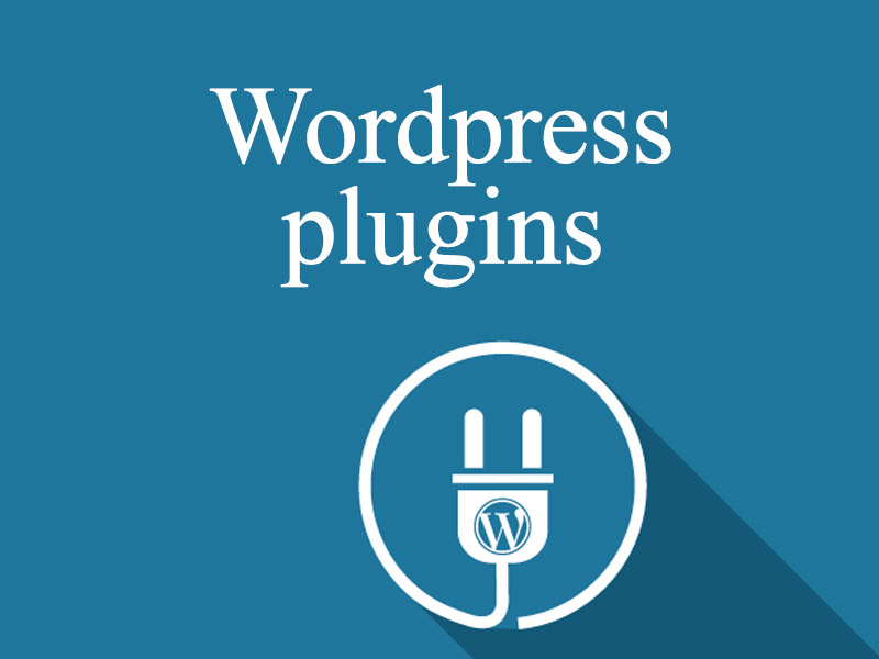 What is a Plugin in WordPress