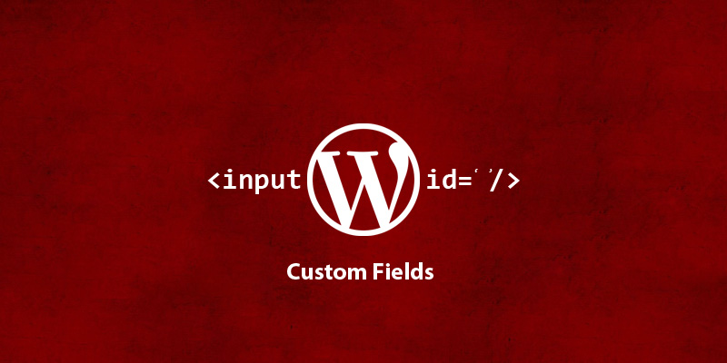 How To Add a Custom Field via WordPress plugin
