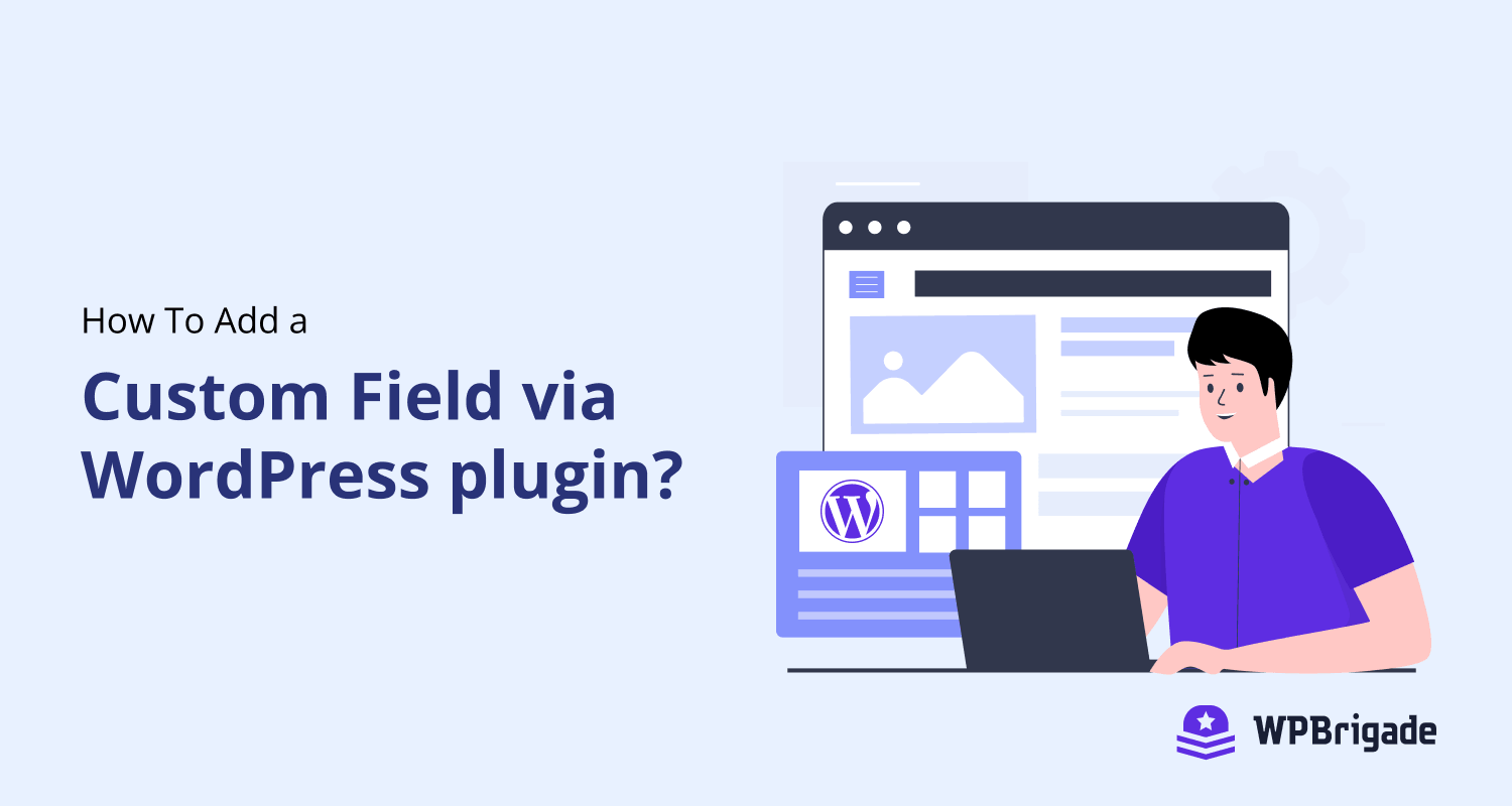 How To Add a Custom Field via WordPress plugin?