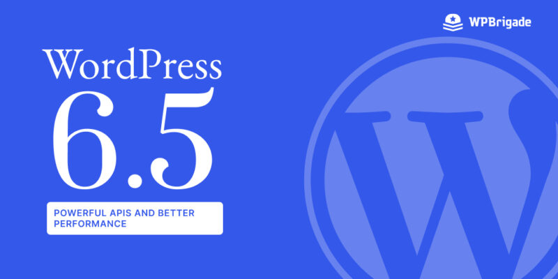 WordPress 6.5 (1)