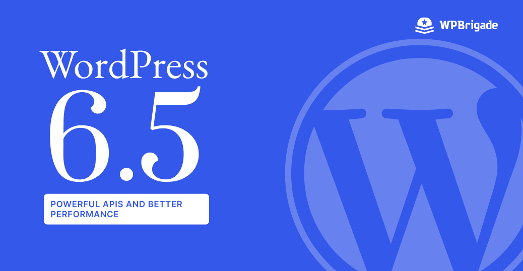 WordPress 6.5 (1)