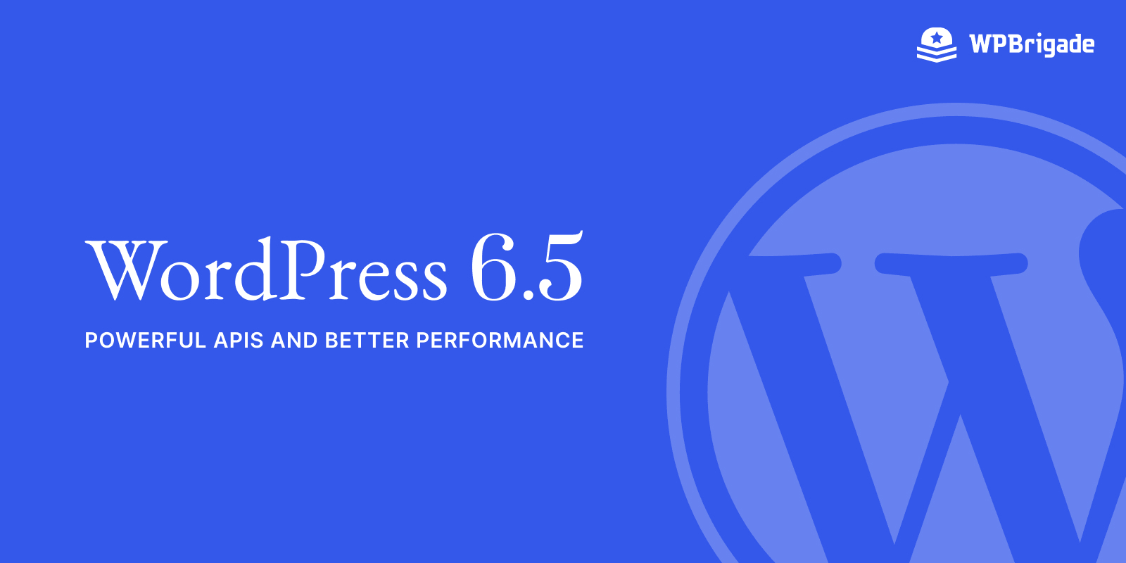 WordPress 6.5: Powerful APIs and Better Performance