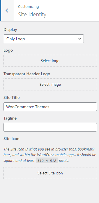 site identity customizing screen