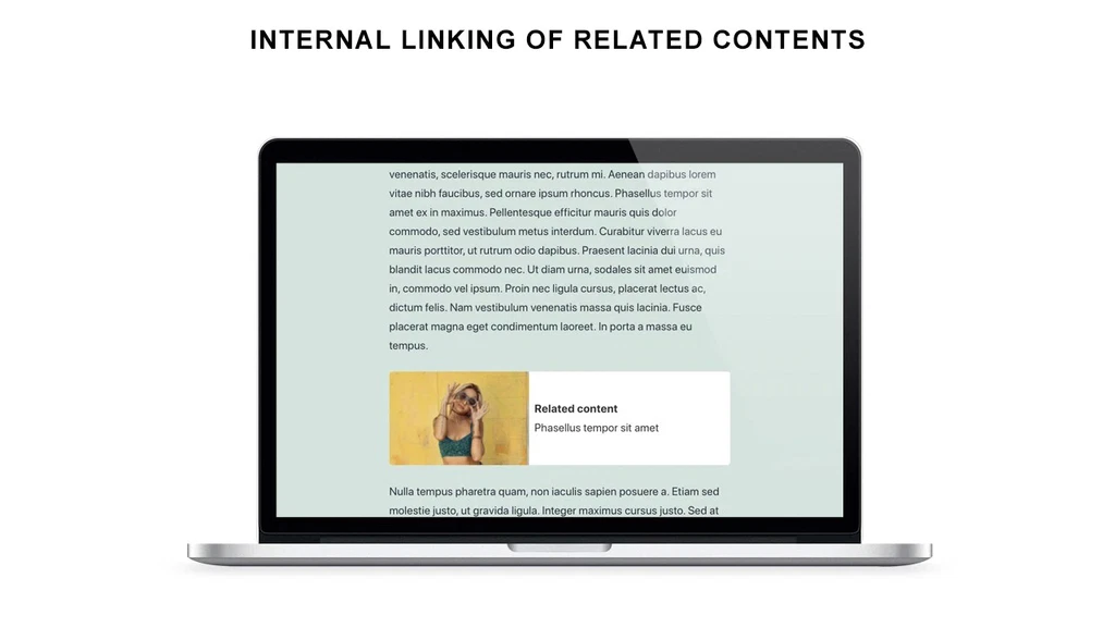 Internal Linking Related Contents plugin cover image