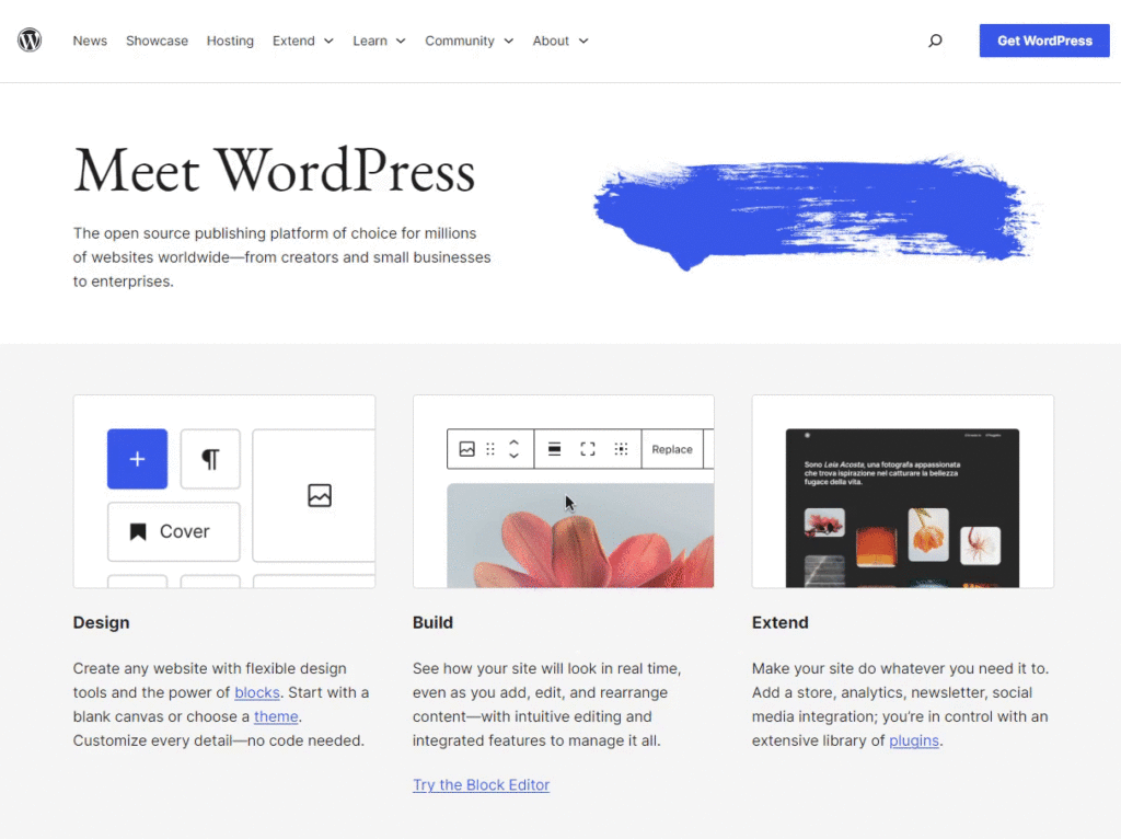 meet WordPress