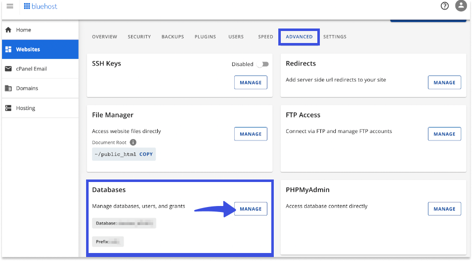 databases manage