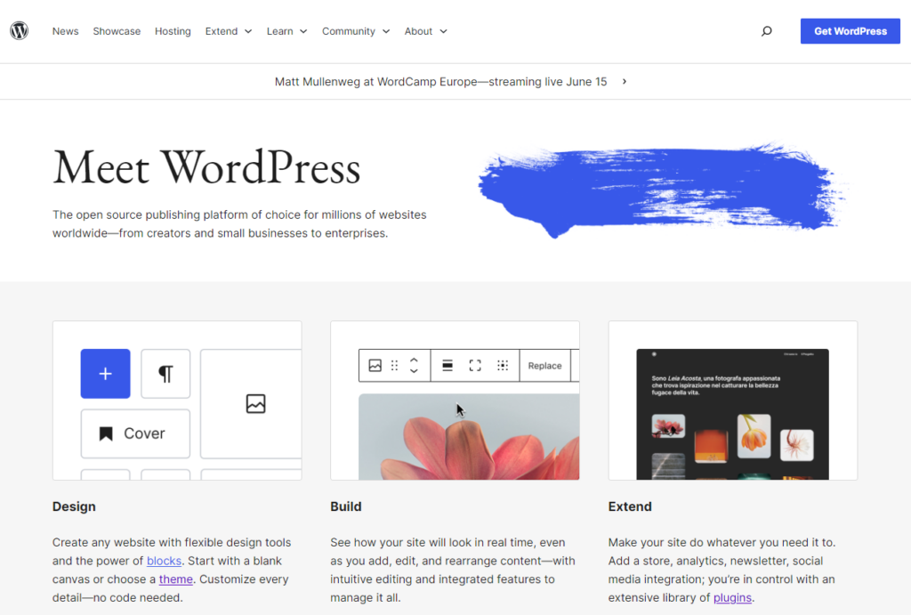 wordpress