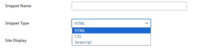9 Best WordPress Plugins for Adding Code Snippets (2024)