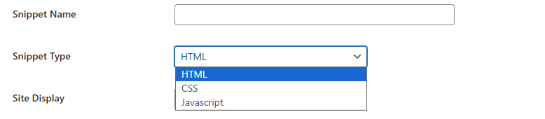 Select Snippet Type from Dropdown Menu