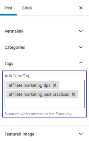 WordPress Tags - Best WordPress Practices