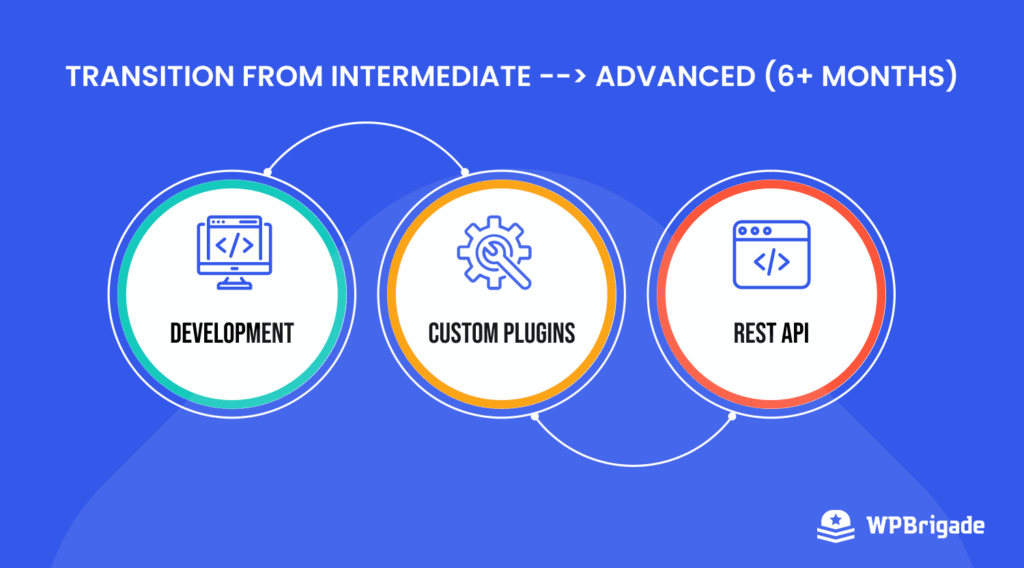 Infographic of user learning curve and transition from basic to advanced