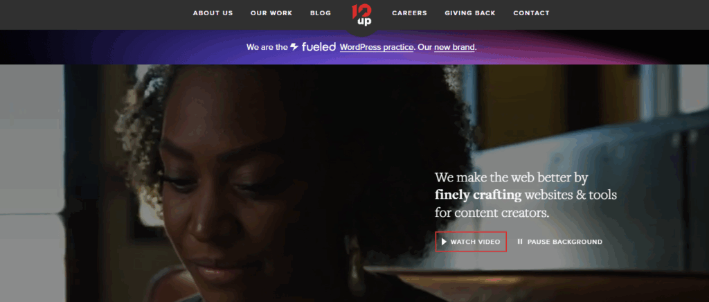 WordPress development agency