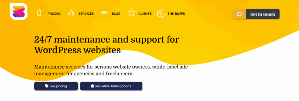 WP Buffs WordPress Maintenance company