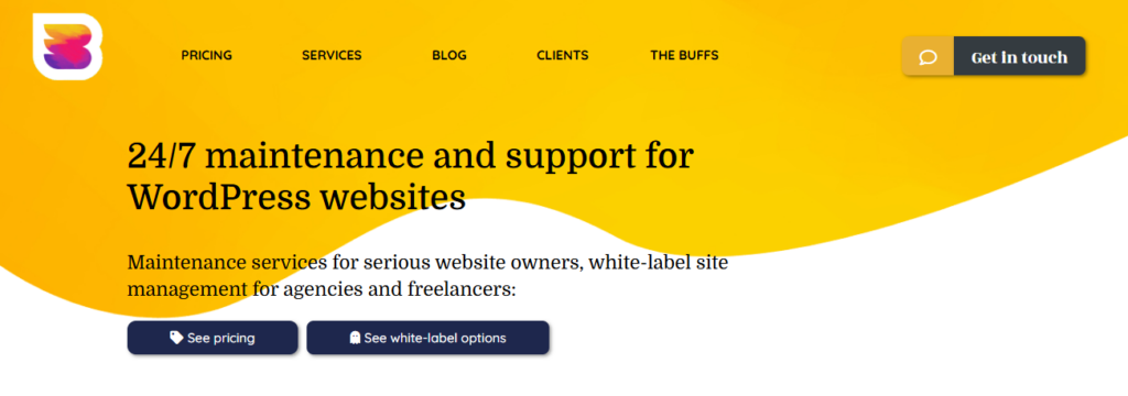WP Buff: Managed WordPress Maintenance