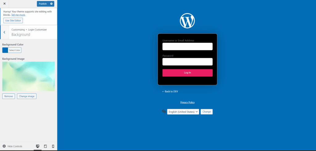 Custom background options in login customizer