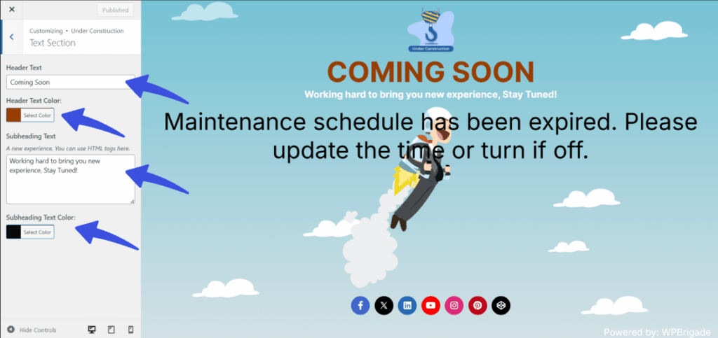 Edit according to preference in text option in customizer