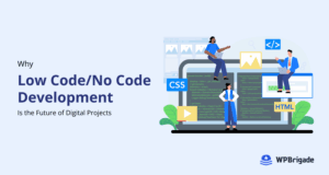 Why low code no code development is the future of digital projects