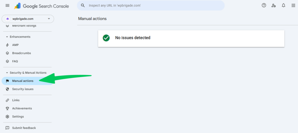 Google search console Manual Actions