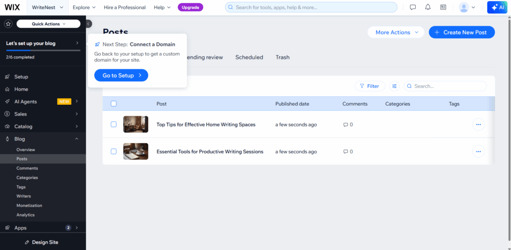 Wix store backend dashboard displaying a blog post management section with quick action steps to connect a custom domain.
